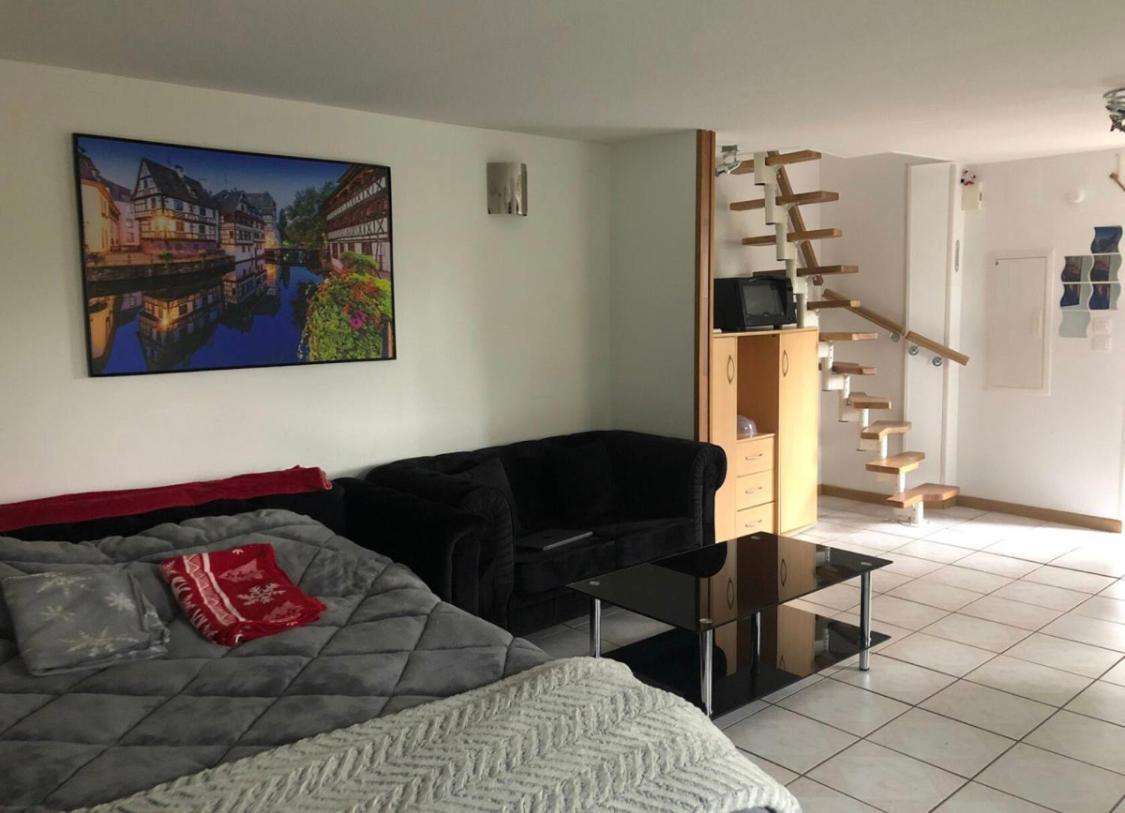 Entre Ville & Campagne Plobsheim Exterior foto